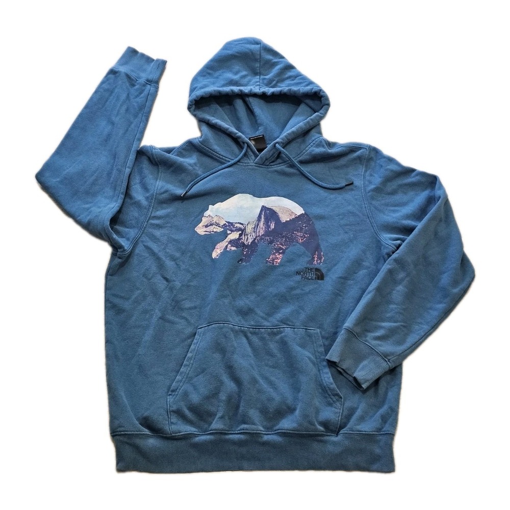 The North Face Men's Size Large Blue Bear Graphic Hoodie Pullover